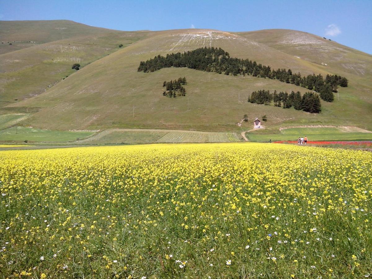 B&B Nonna Rosa Norcia Exterior photo